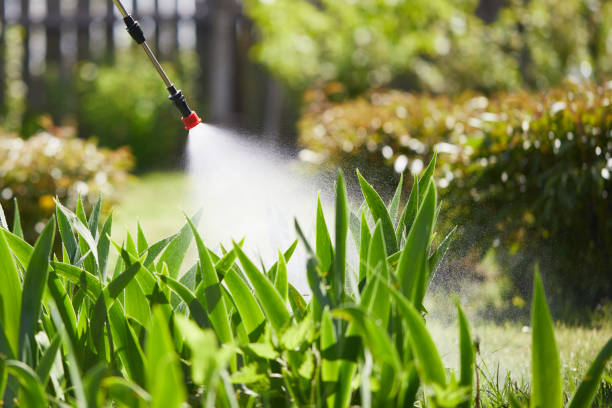 24/7 Emergency Termite Control experts in Luxora, AR